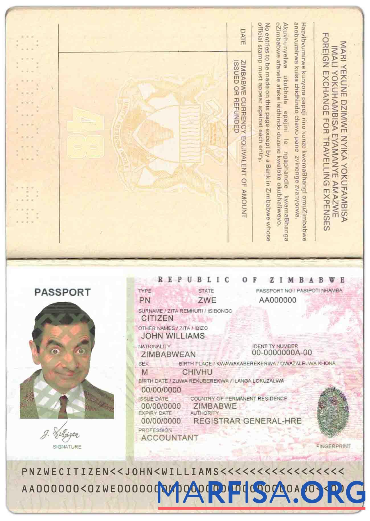 Blank Zimbabwe passport example
